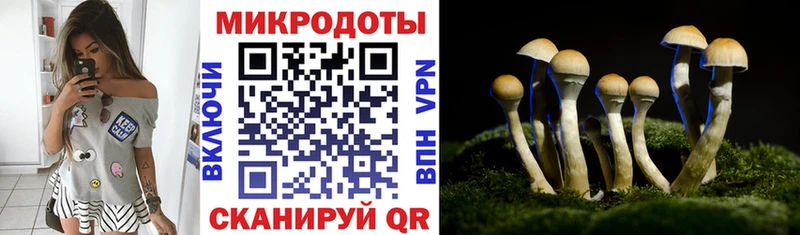 Галлюциногенные грибы прущие грибы  магазин продажи   Новотитаровская 