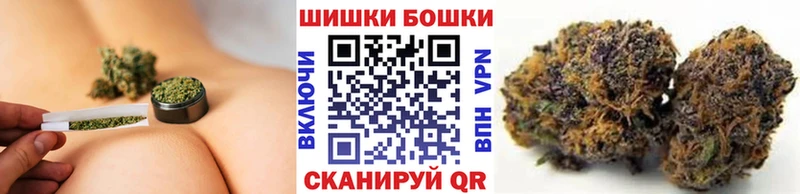 Канабис семена  Новотитаровская 